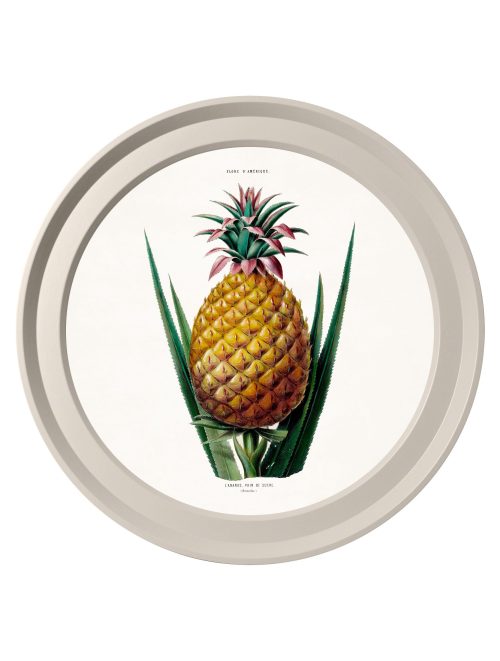 Pineapple Plant - Light Round Frame
