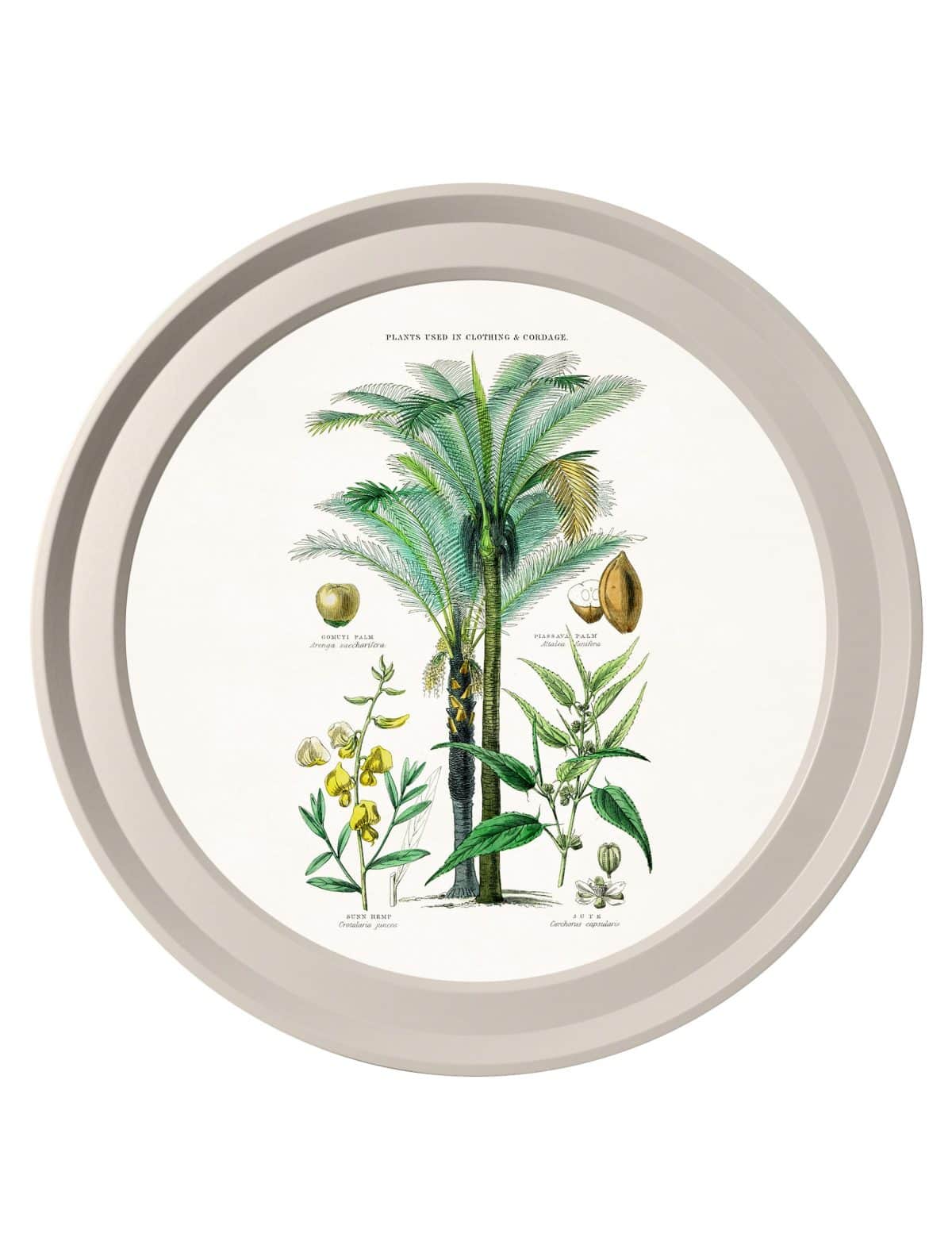 Tropical Plants Used as Food and Clothing - Light Round Frame