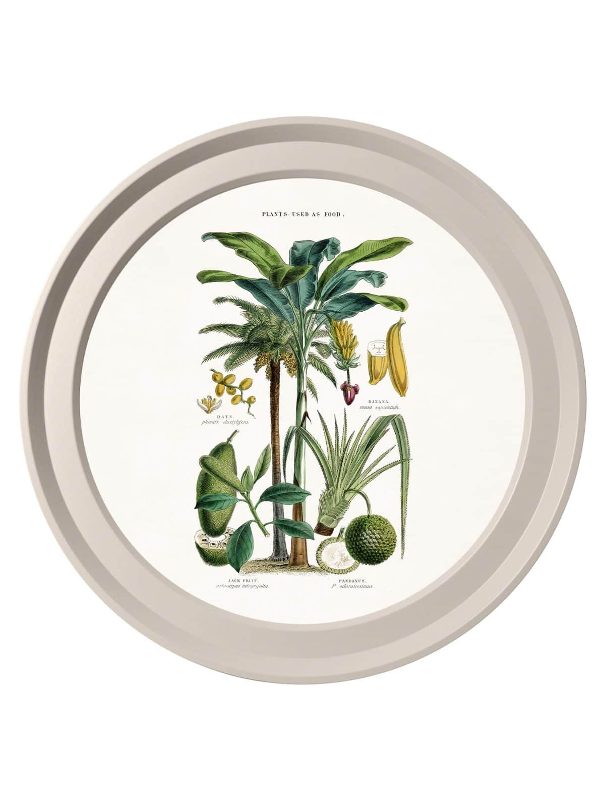 Tropical Plants Used as Food and Clothing - Light Round Frame
