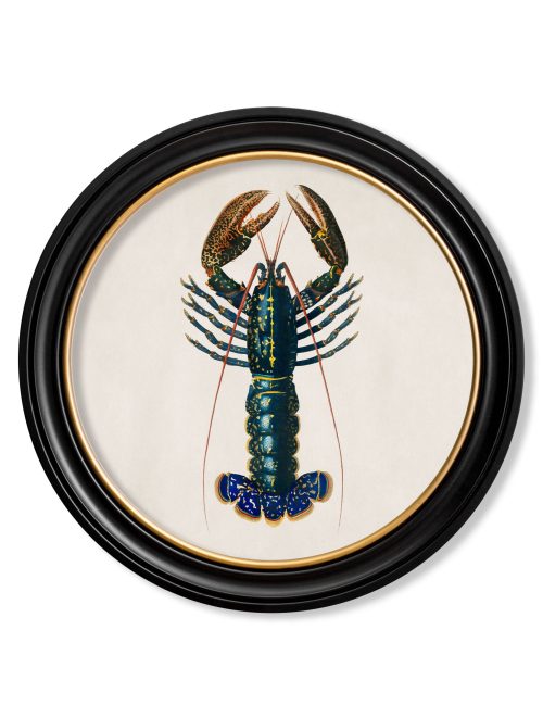 Crayfish - Round Frame