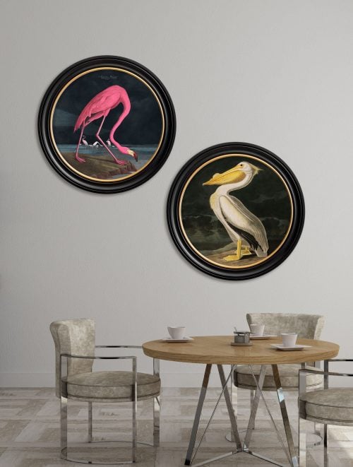 Audubon's Flamingo - Dark - Round Frame