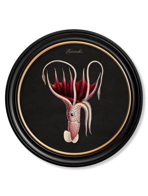 Marine Animals in Round Frames - Black