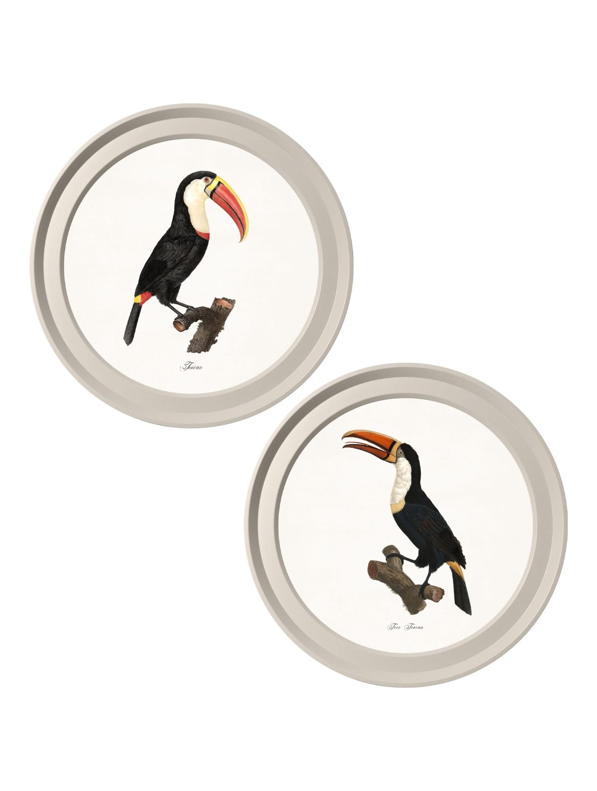 Toucans - Light Round Frame
