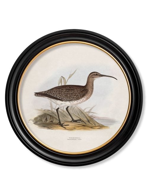 British Coastal Birds - Round