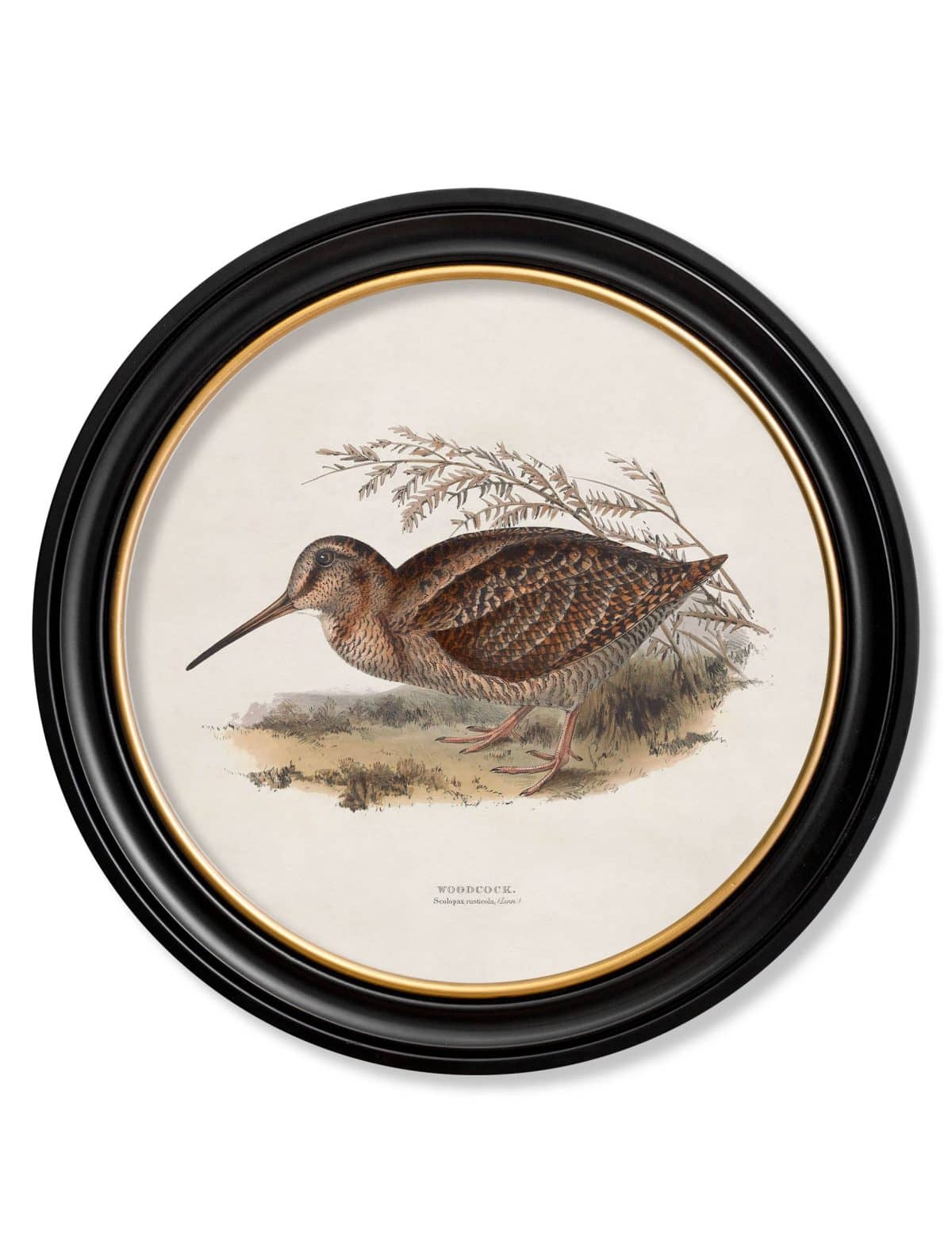 British Game Birds - Round