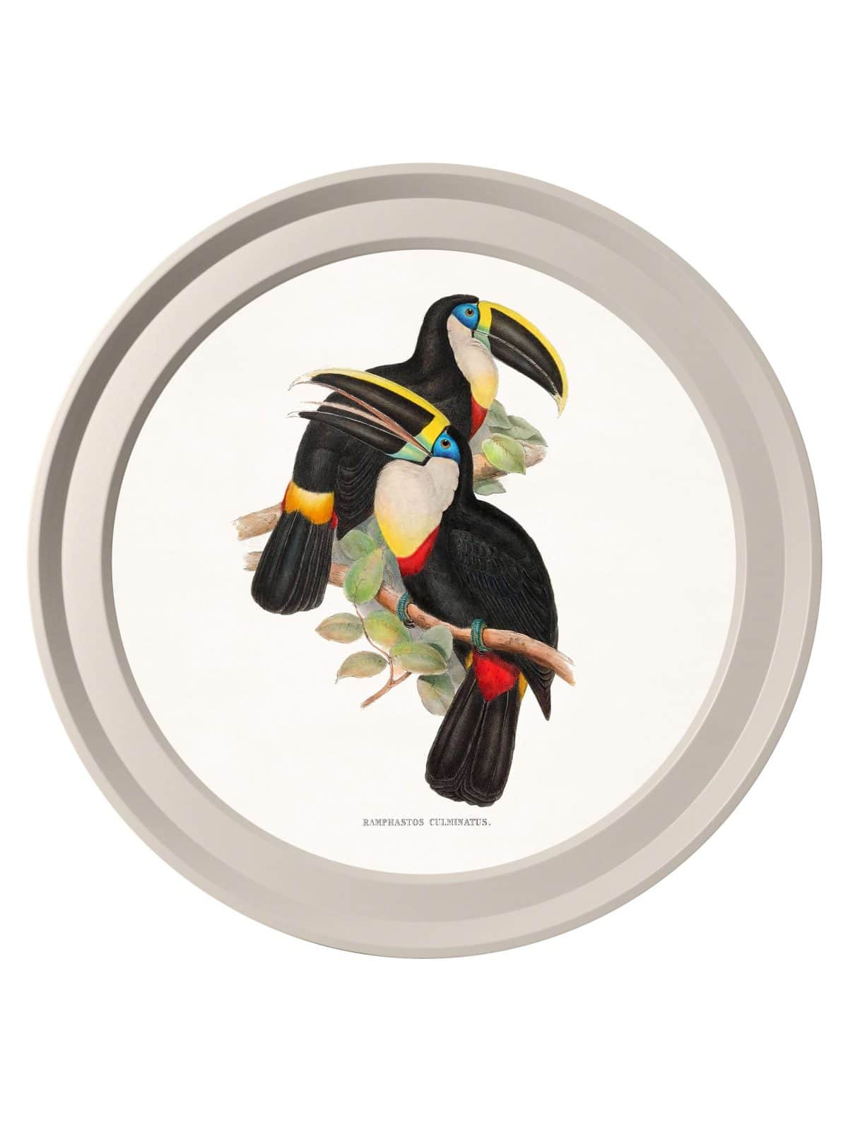 Toucans - Light Round Frames