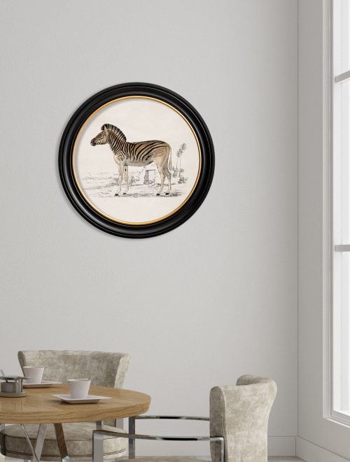 Zebra - Round Frame