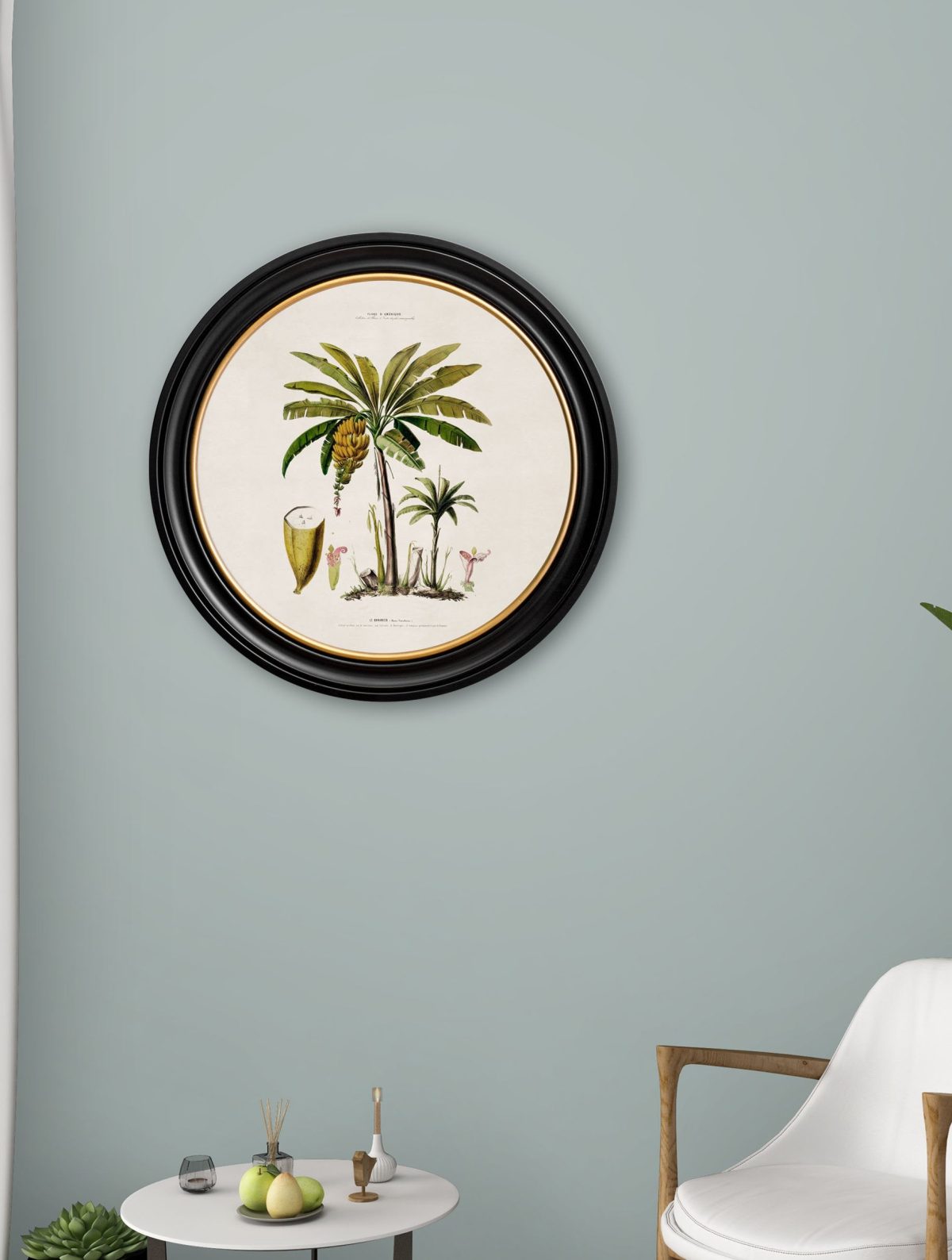 Banana Palm - Round Frame