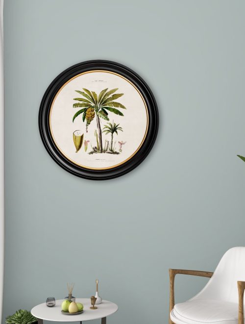 Banana Palm - Round Frame