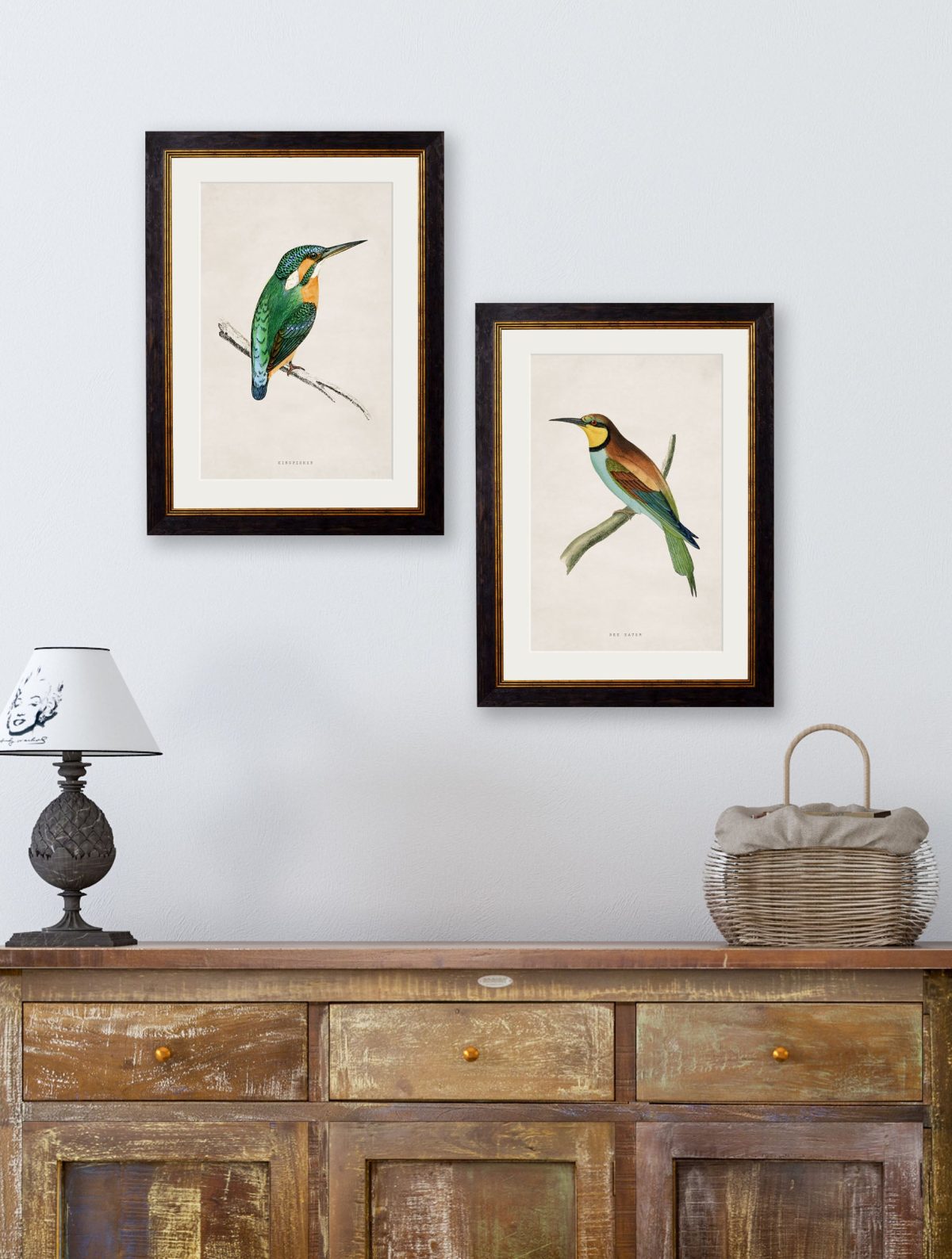 Kingfisher & Bee Eater