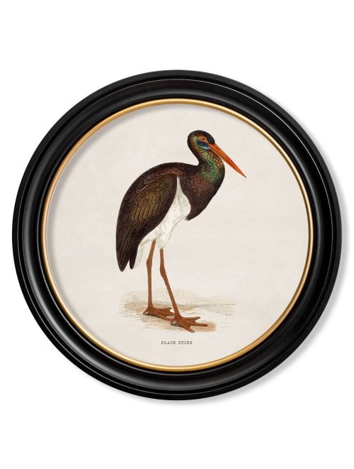 Wading Birds in Round Frames