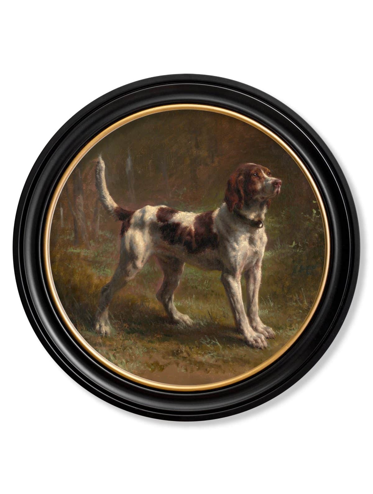 Beagle Bloodhound - Round Frame
