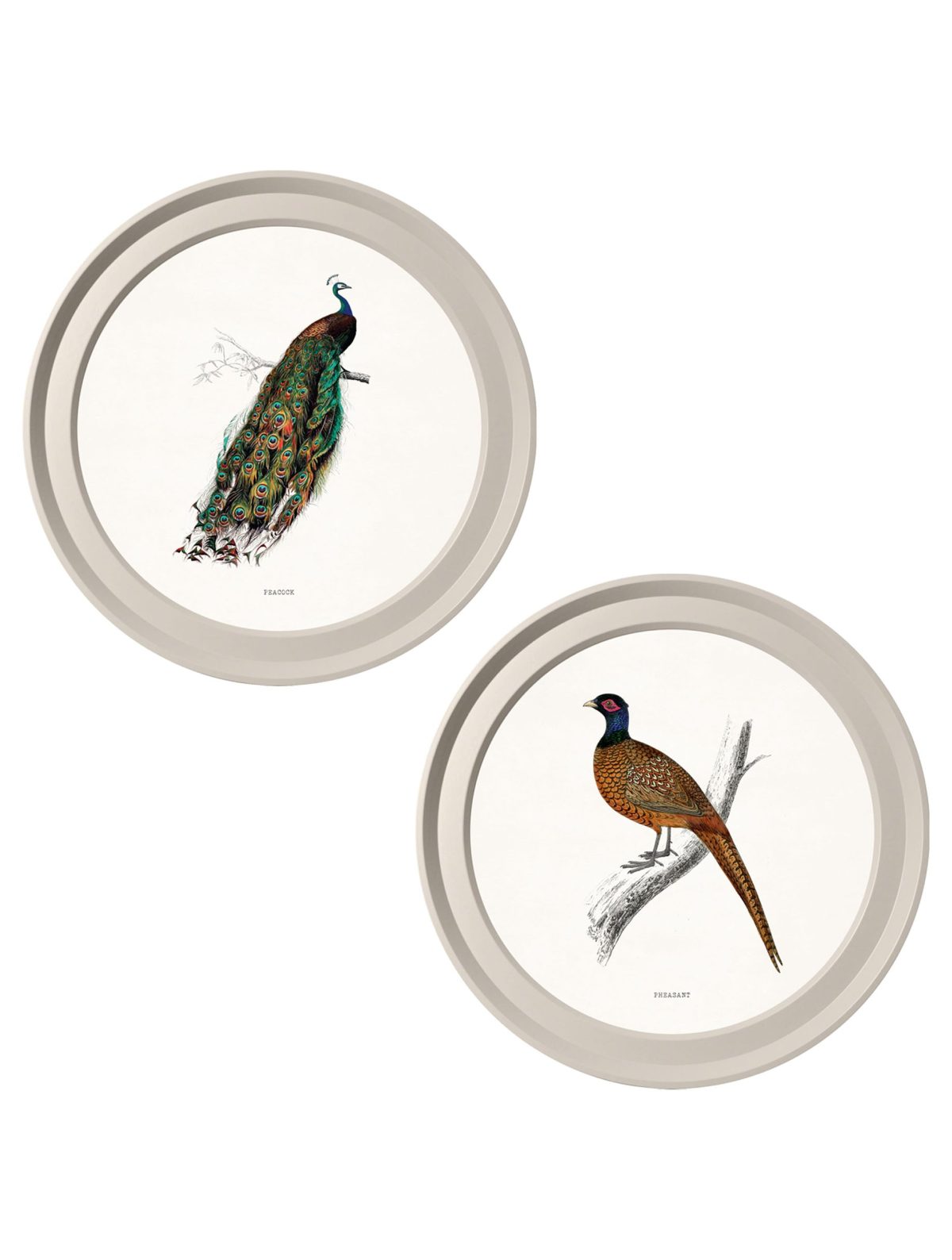 British Birds in Light Round Frames