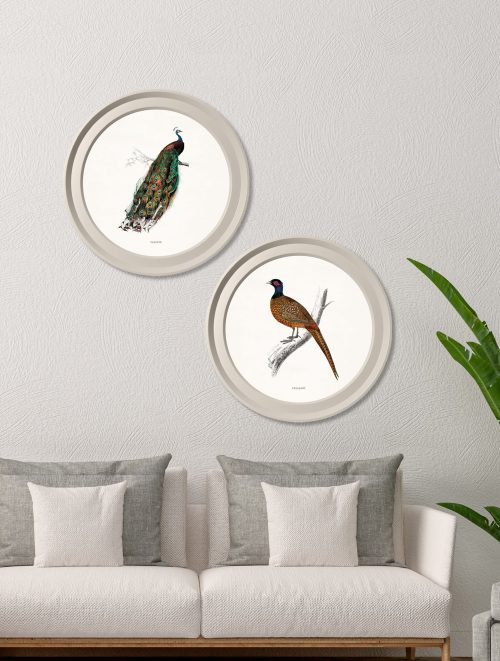 British Birds in Light Round Frames