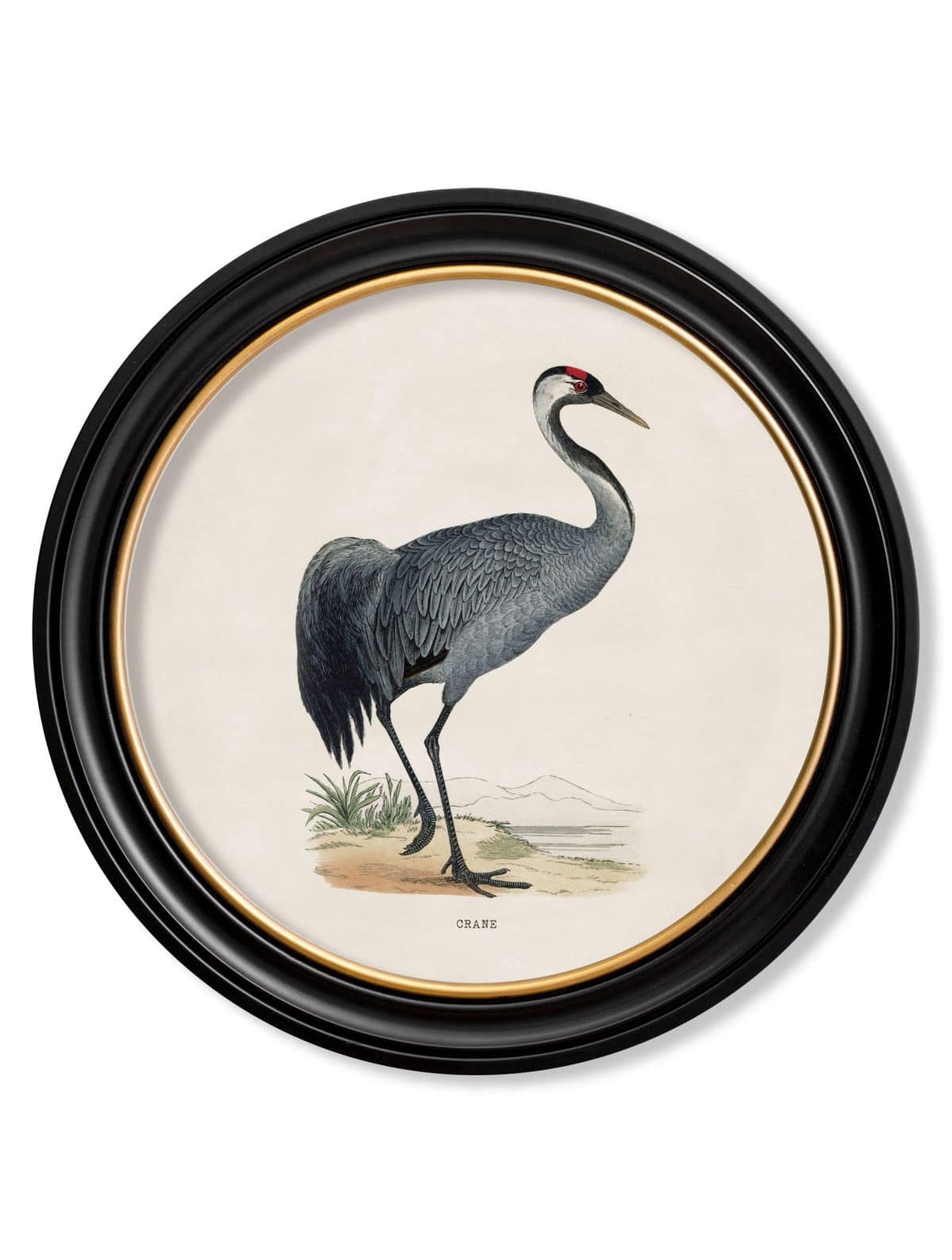 Wading Birds in Round Frames