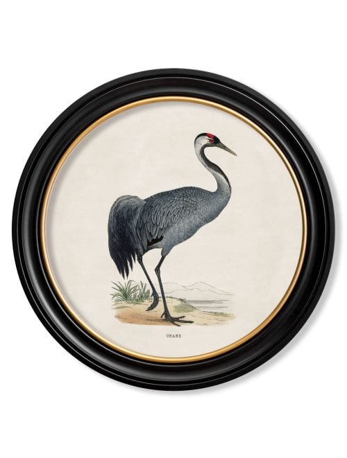 Wading Birds in Round Frames
