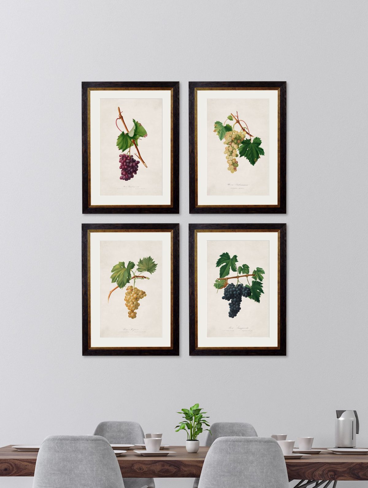 Collection of Botanical Grapes