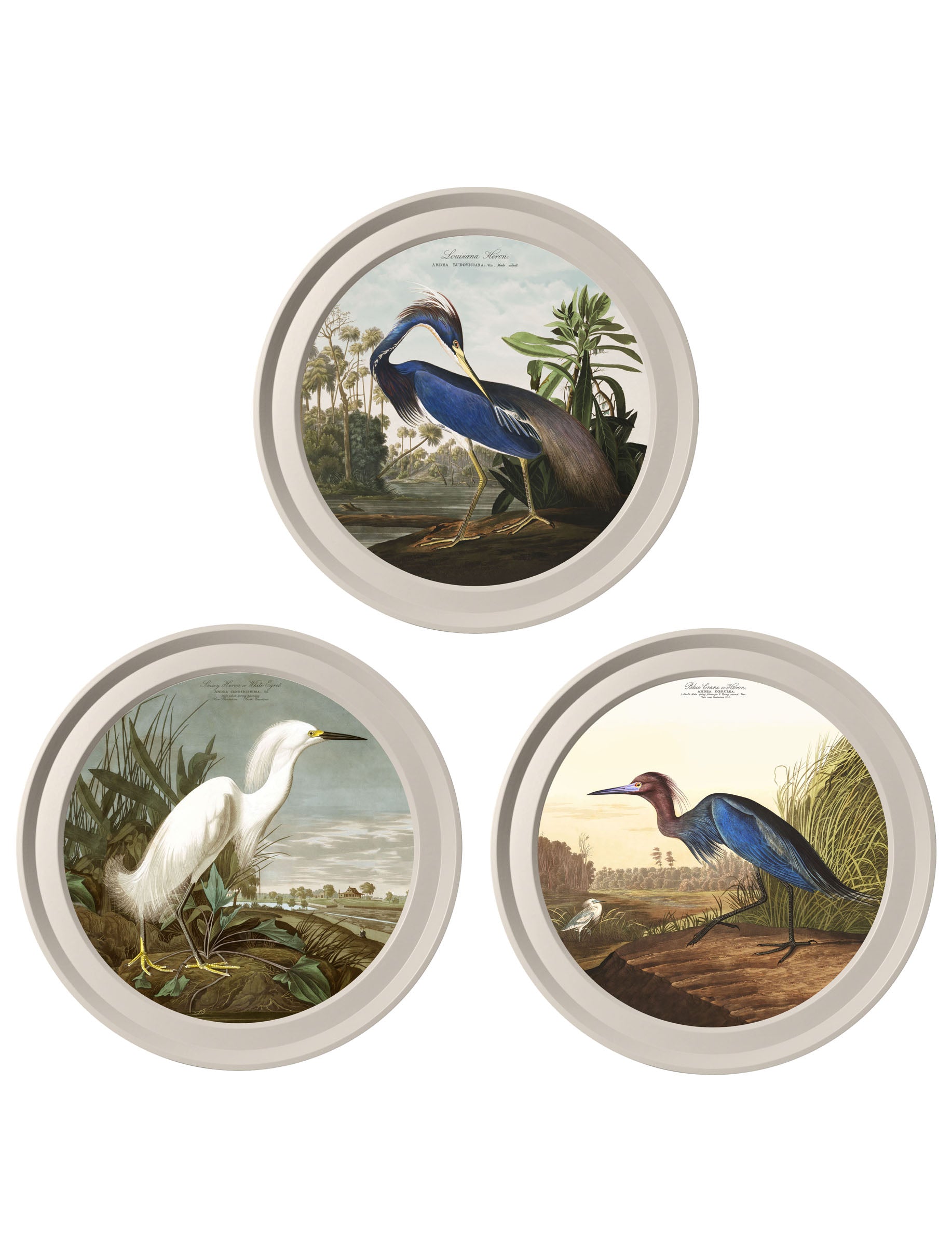Audubon's Herons in Light Round Frames