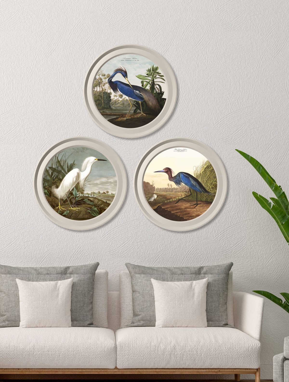Audubon's Herons in Light Round Frames