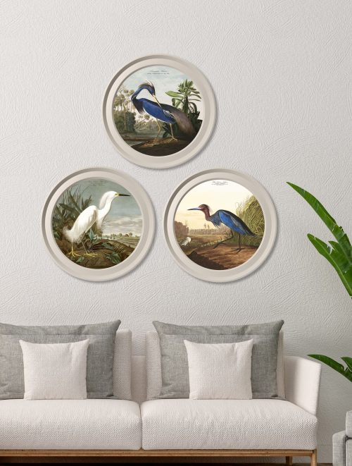 Audubon's Herons in Light Round Frames