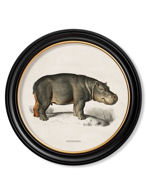 Rhino & Hippo - Round Frames