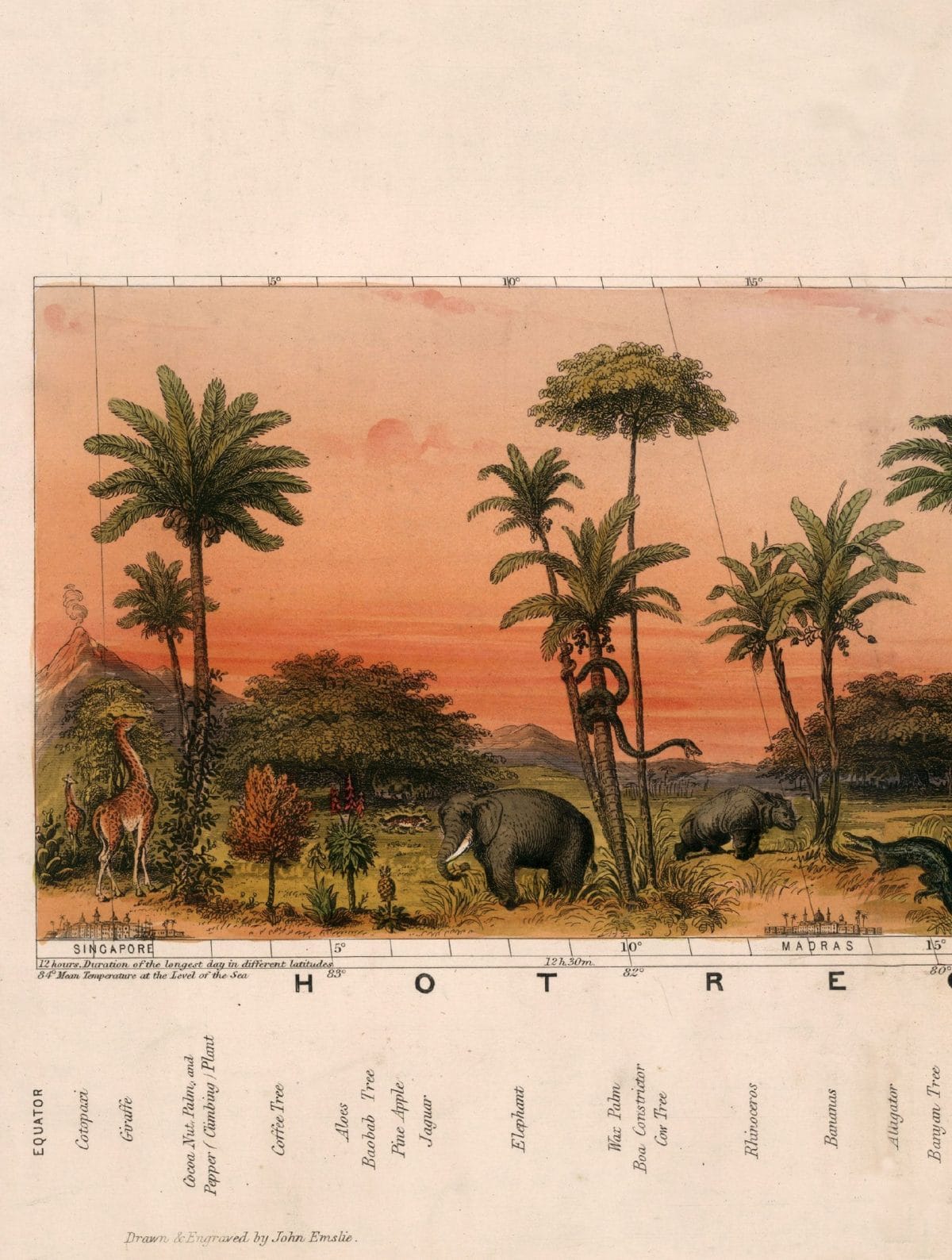 View of Nature in all Climates - From the Equator to the Arctic Circle