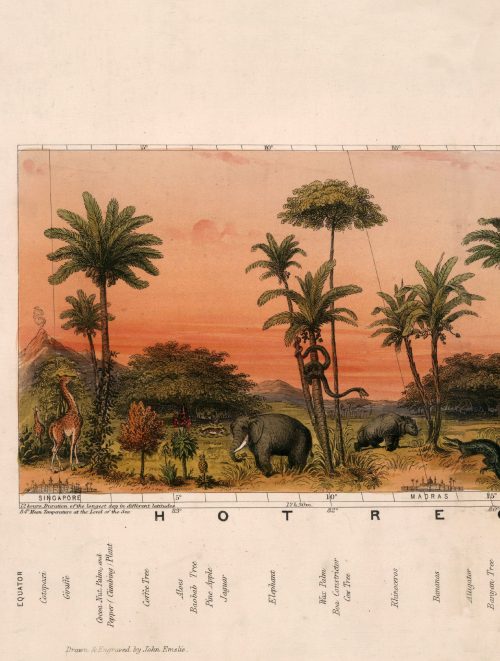 View of Nature in all Climates - From the Equator to the Arctic Circle