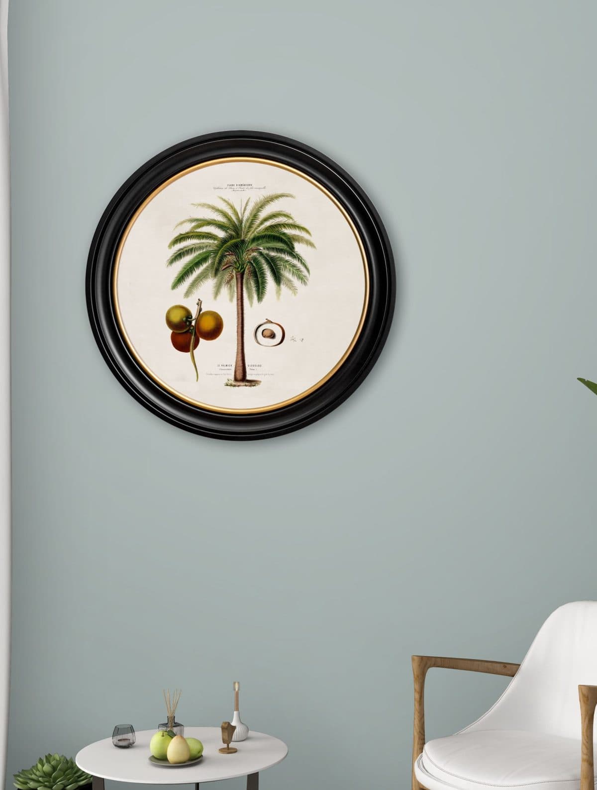 Macaw Palm - Round Frame