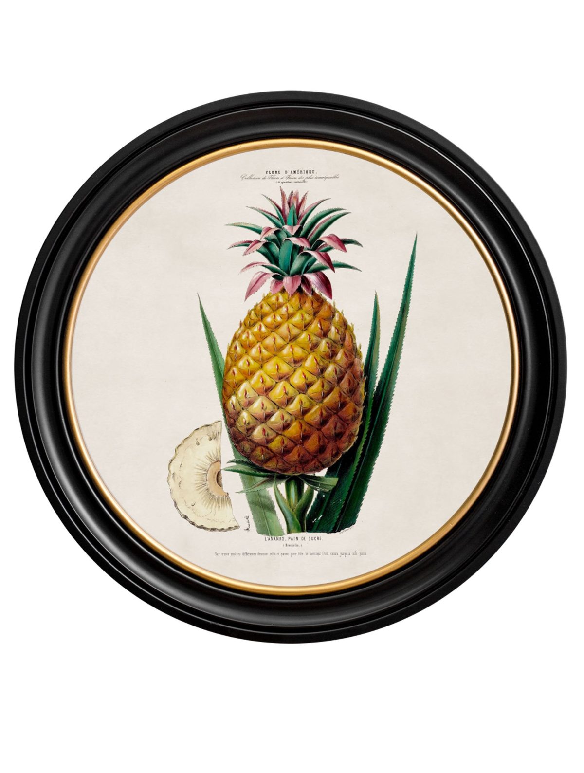 Pineapple Plant - Round Frame