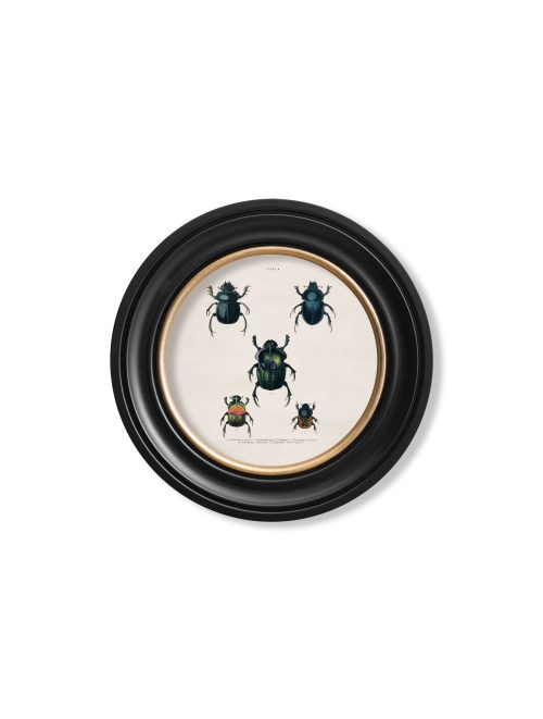 Beetle Plates - Round Frame