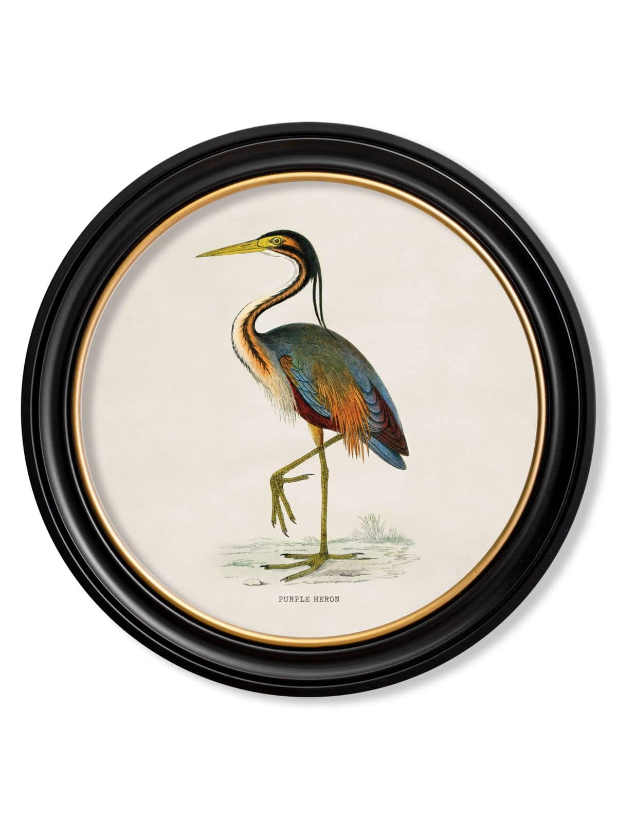 Wading Birds in Round Frames