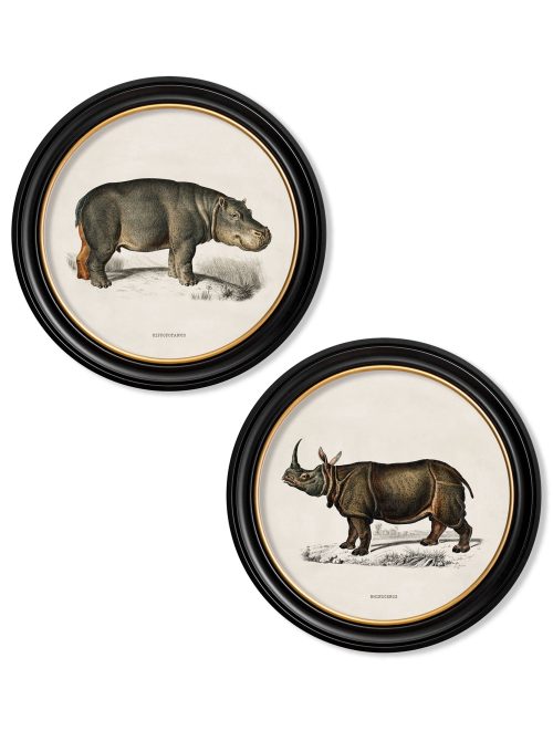 Rhino & Hippo - Round Frames