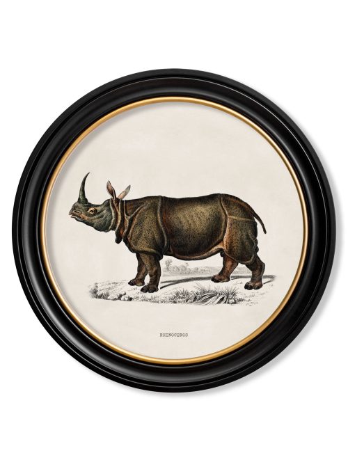 Rhino & Hippo - Round Frames