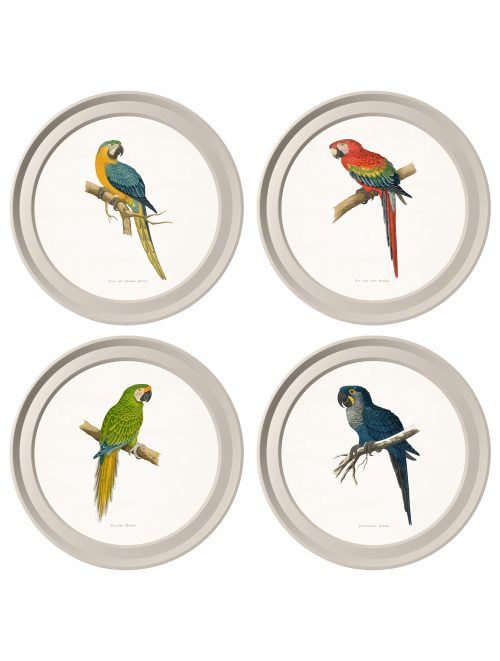 Collection of Macaws in Light Round Frames