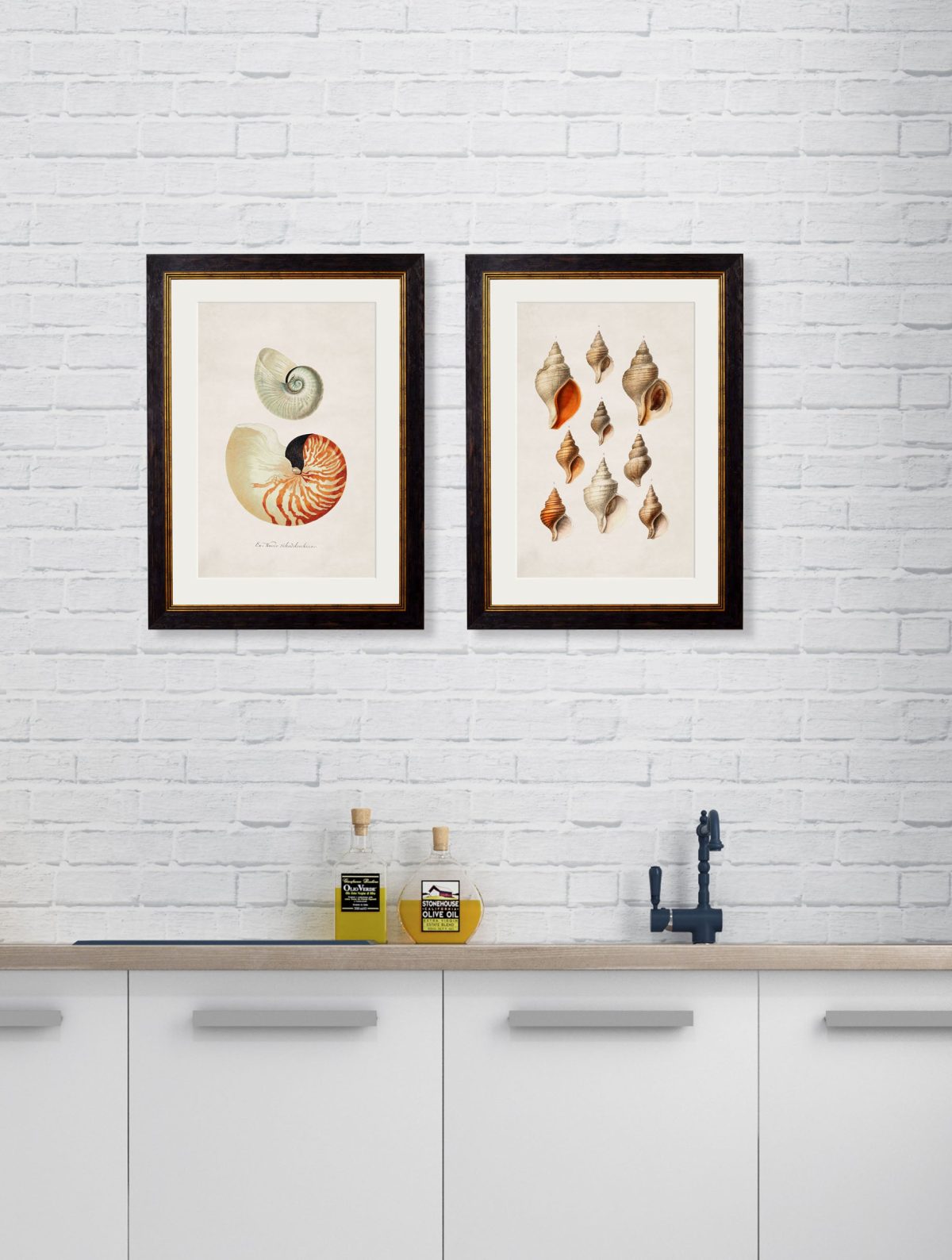 Studies of Shells