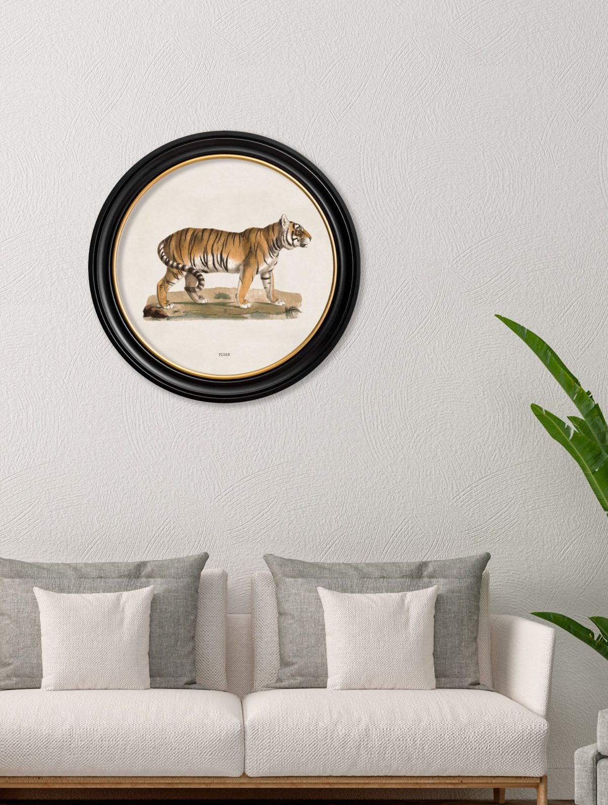Tiger - Round Frame