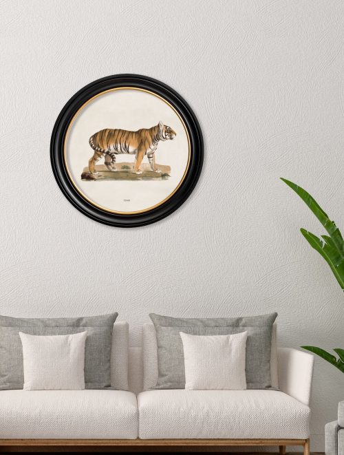 Tiger - Round Frame