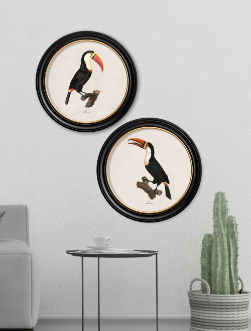 Toucans - Round Frame