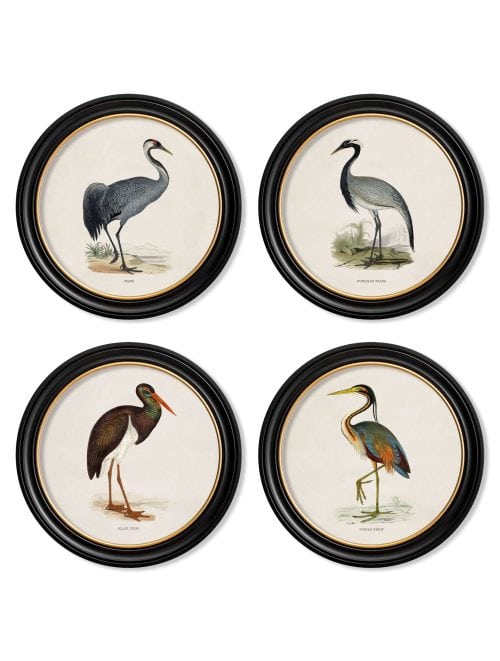 Wading Birds in Round Frames