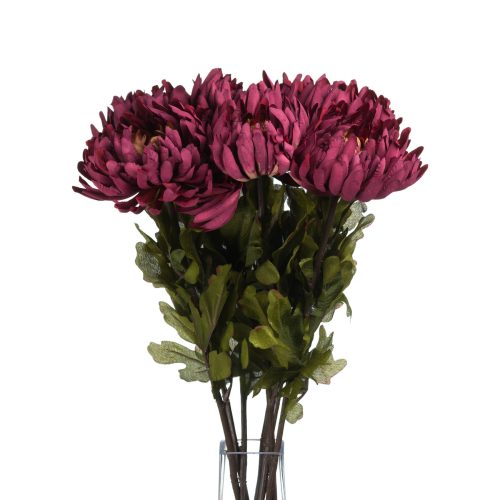 Artificial Autumn Spider Chrysanthemum - 78cm x 14cm
