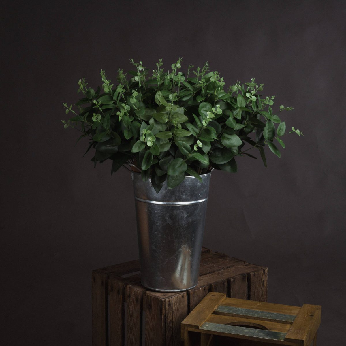 Artificial Eucalyptus Spray - 62cm x 20cm