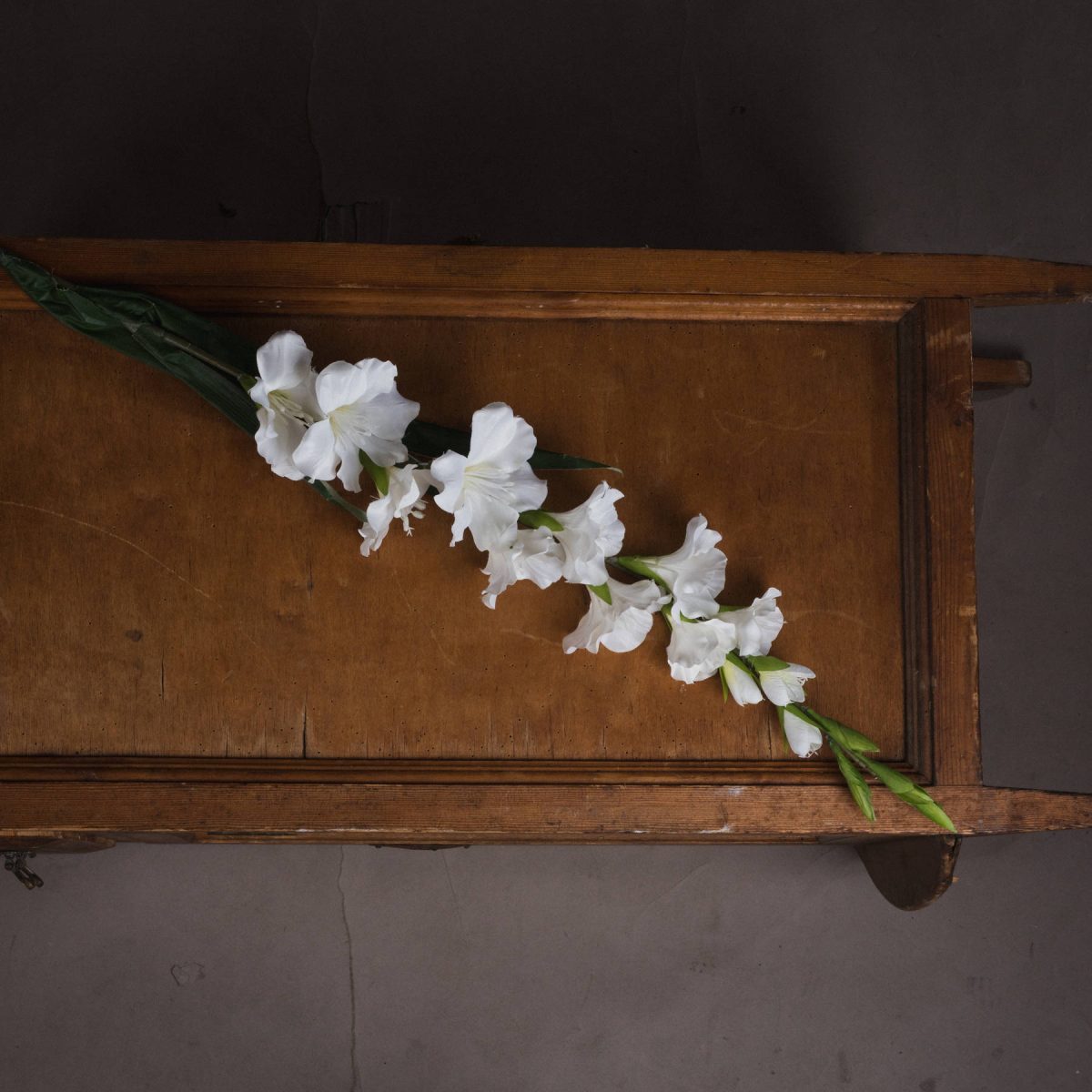 Artificial Gladioli, White - 108cm x 11cm
