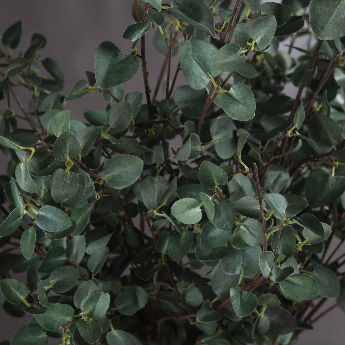 Artificial Tall Eucalyptus Stem - 96cm x 30cm