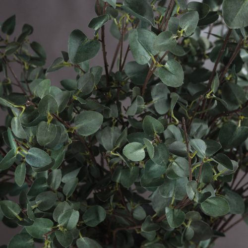 Artificial Tall Eucalyptus Stem - 96cm x 30cm