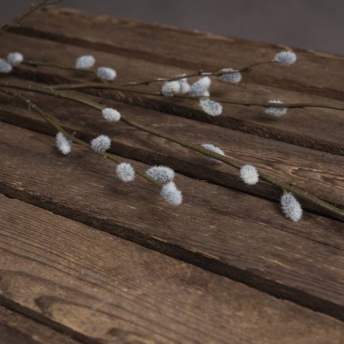 Artificial Pussy Willow Branch - 103cm x 25cm