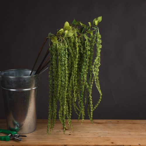 Artificial Amaranthus, Green - 100cm x 7cm