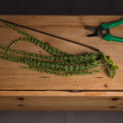 Artificial Amaranthus, Green - 100cm x 7cm