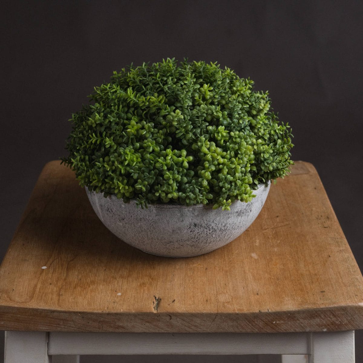 Artificial Small Hebe Globe Pot - 15cm x 15cm