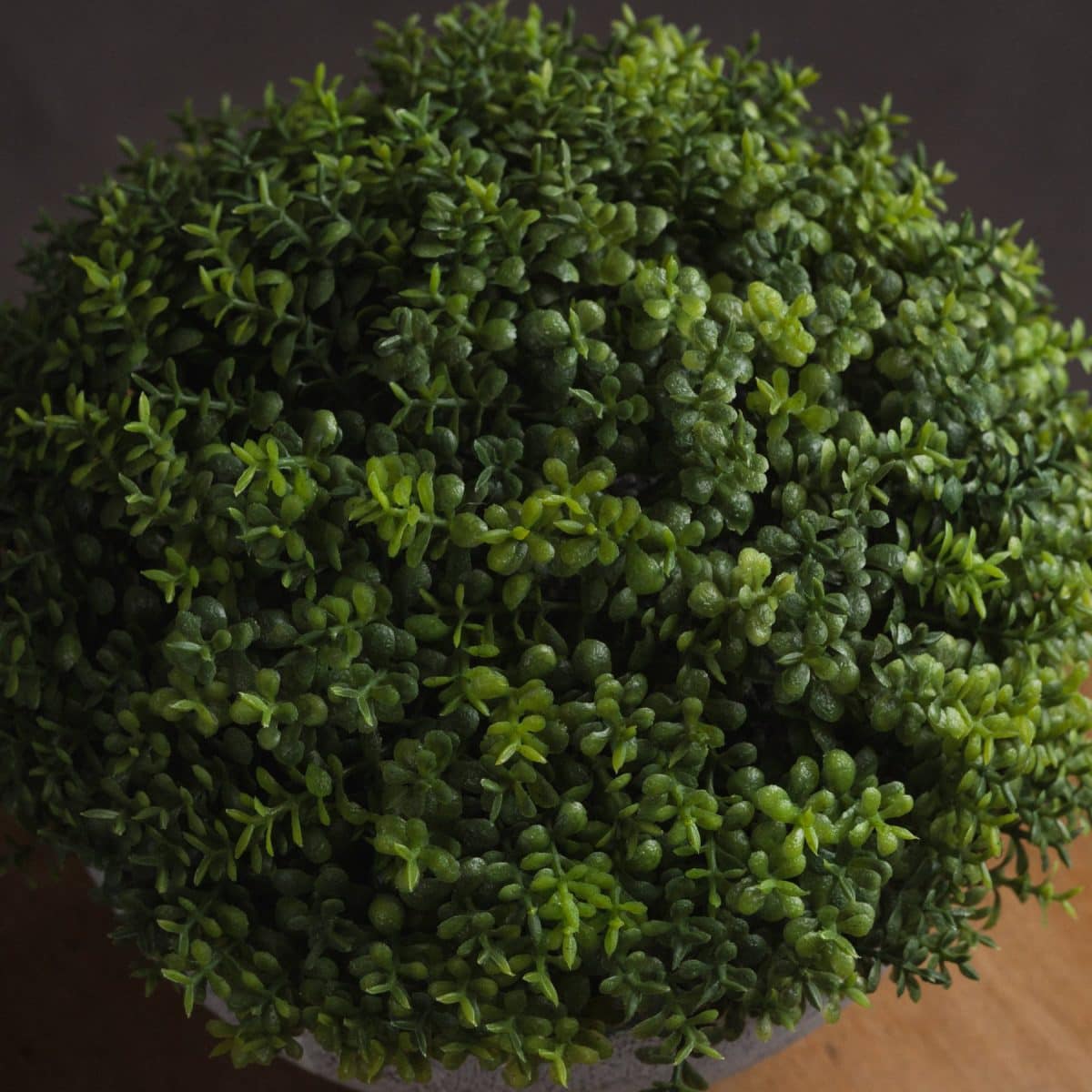 Artificial Small Hebe Globe Pot - 15cm x 15cm