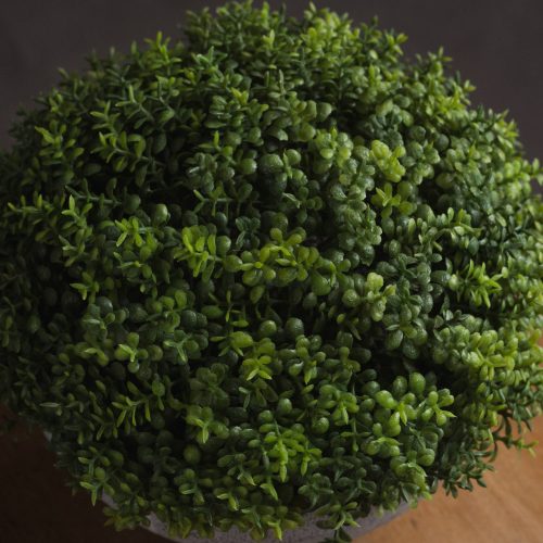 Artificial Small Hebe Globe Pot - 15cm x 15cm